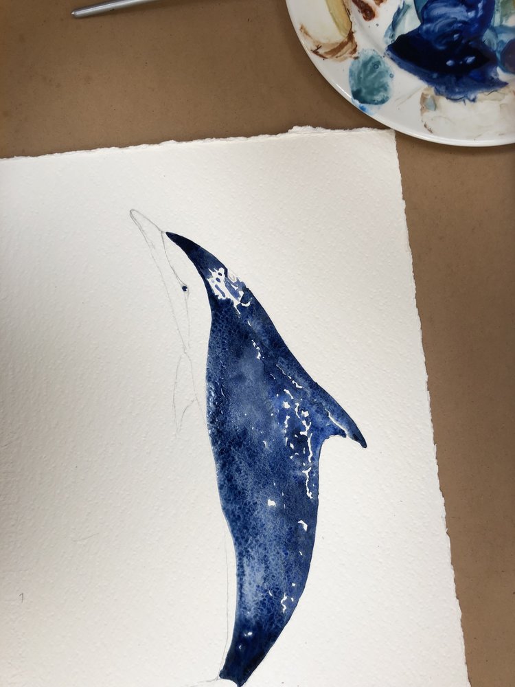 Blue Spotted Dolphin Watercolour Print2