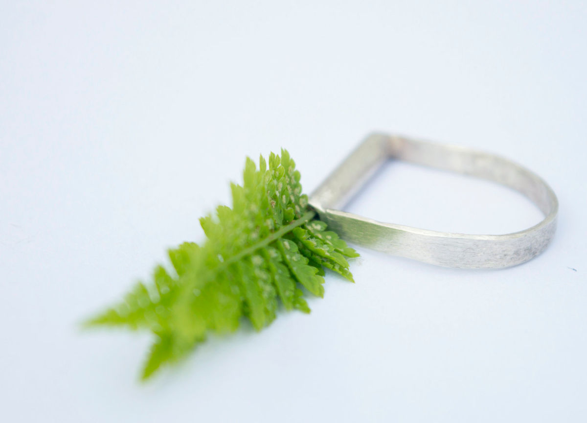 SILVER COLLECTOR RING2