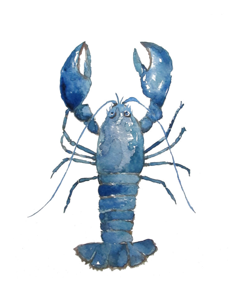 blue lobster print