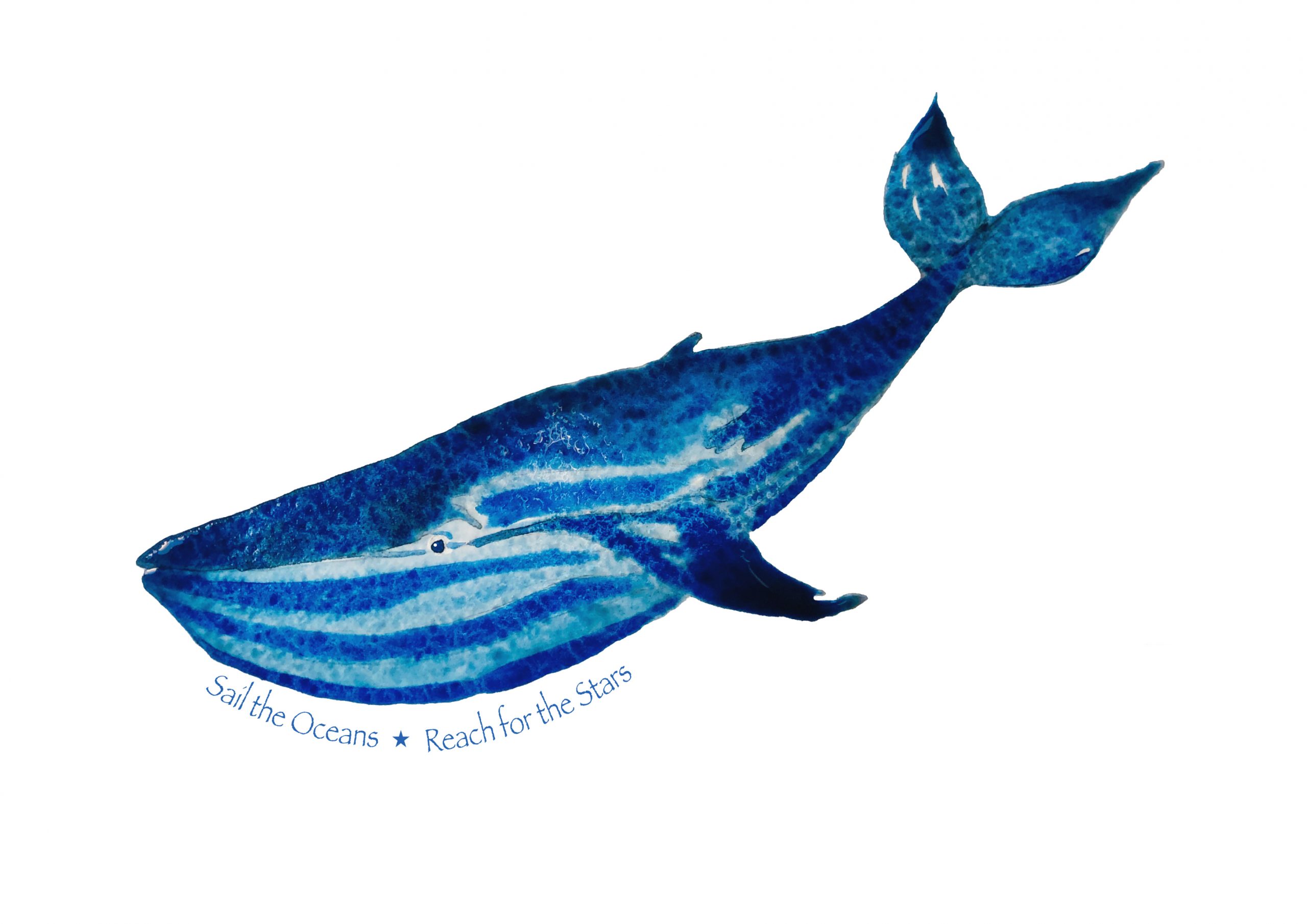 Sail the Ocean Reach for the Stars