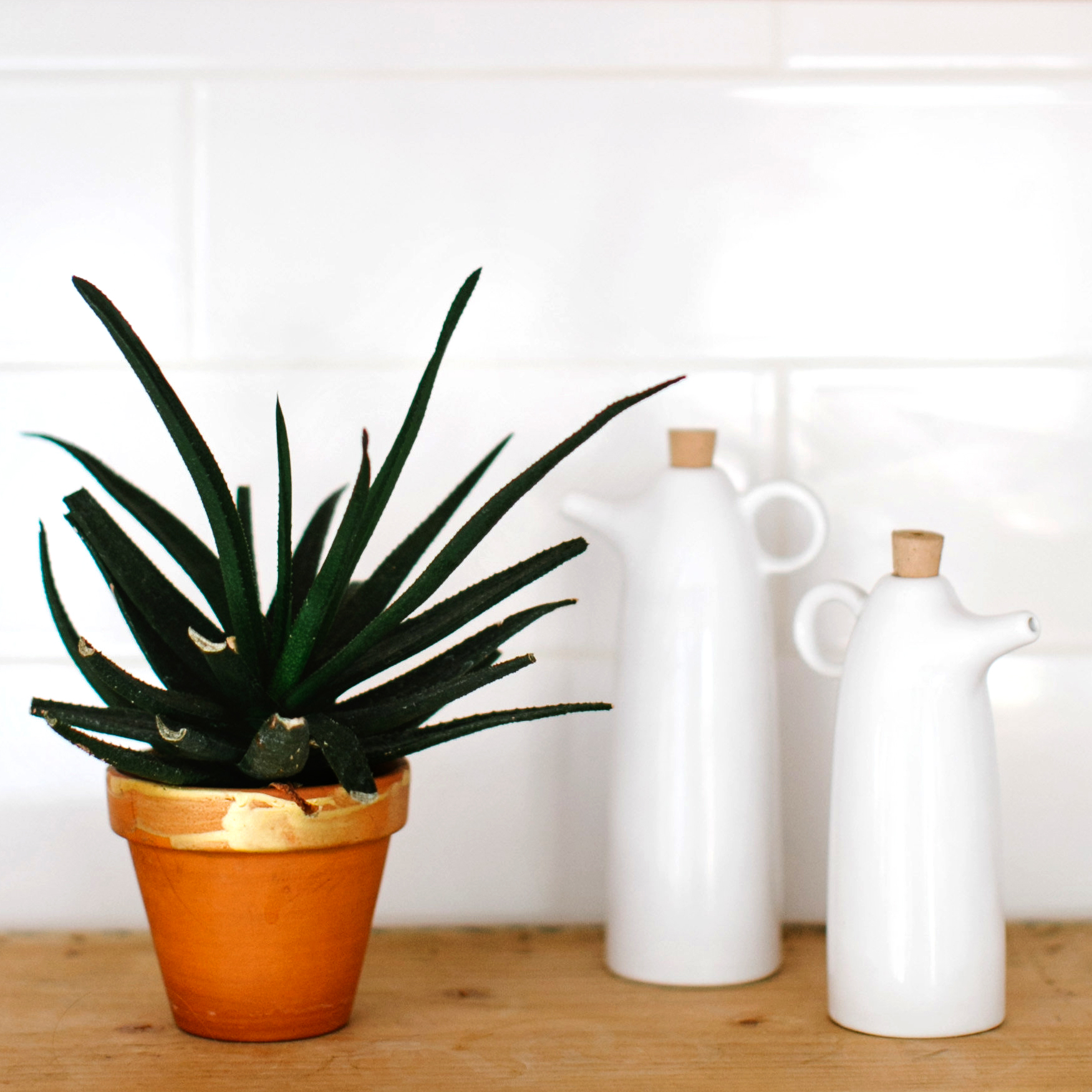 View More: http://char-co.pass.us/maia-ming