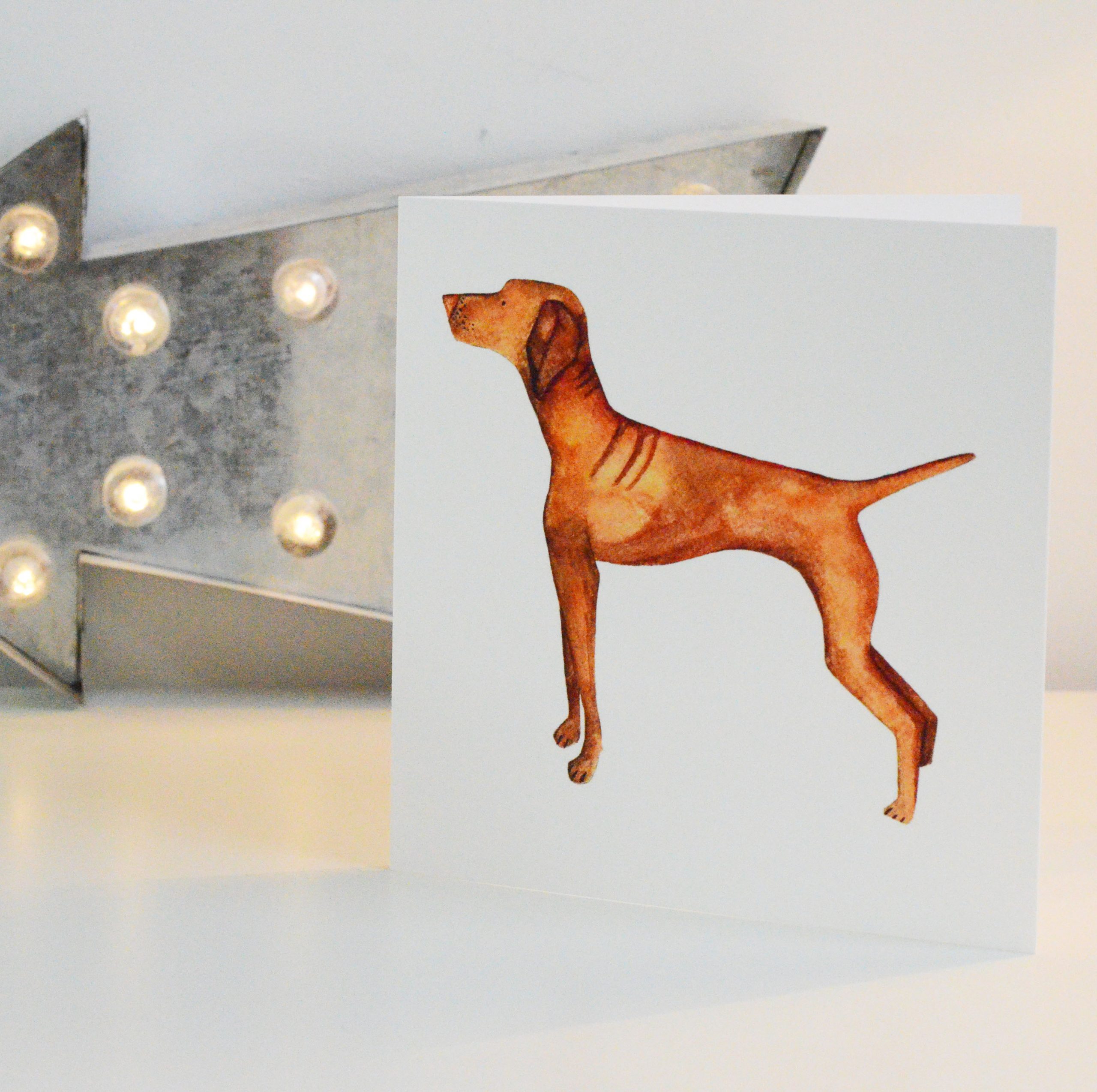 Vizsla Greetings Card