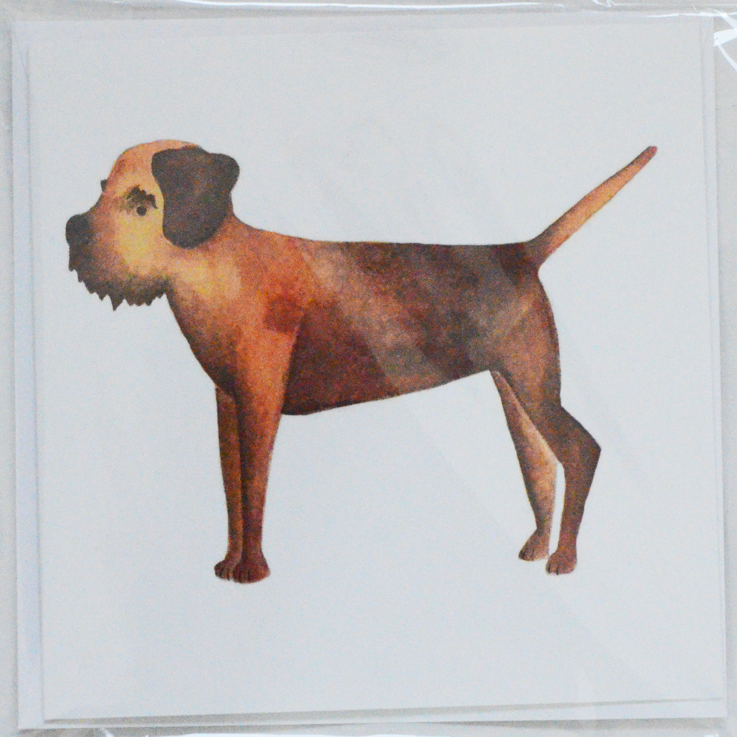 Border Terrier Greetings Card2