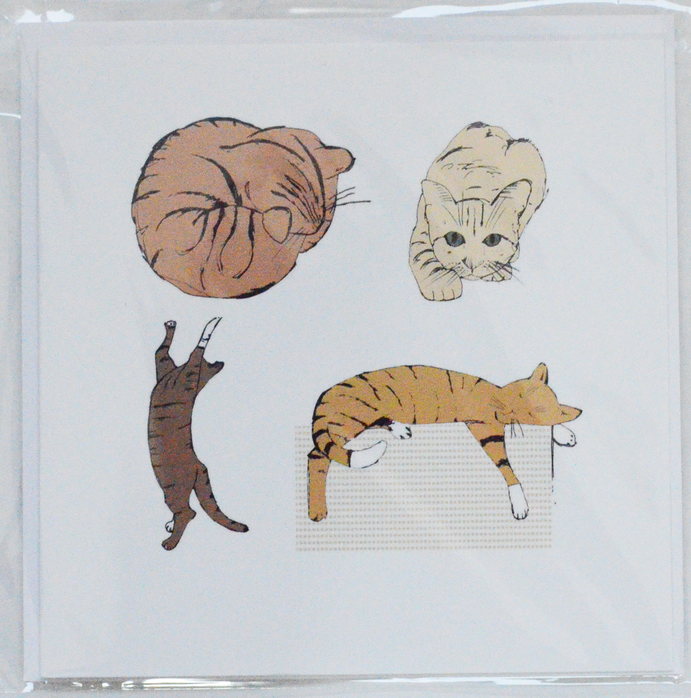 Colour Cat Greetings card1