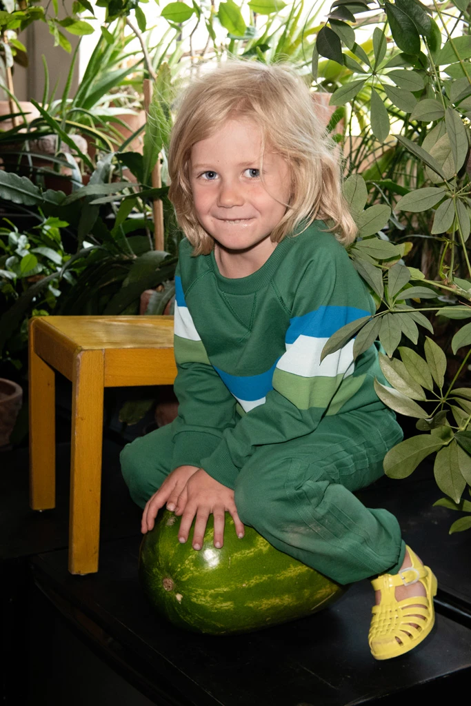 Luca trousers in green with green stripes1