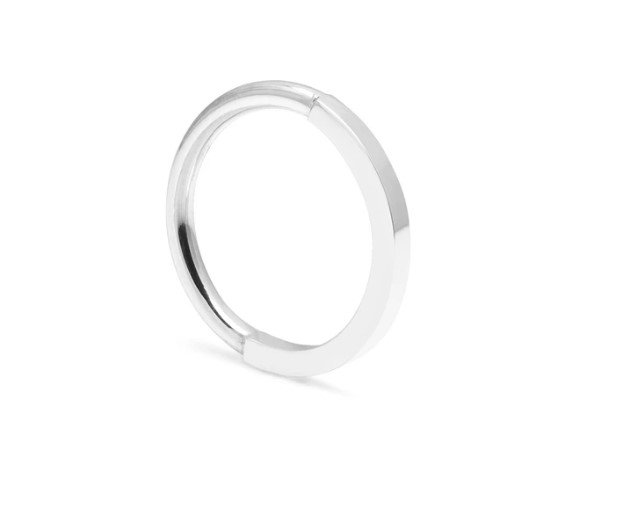 Paradox Band - Silver01