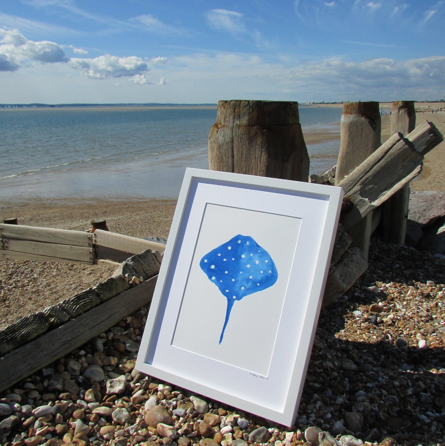 Stingray+standing+tall+HI