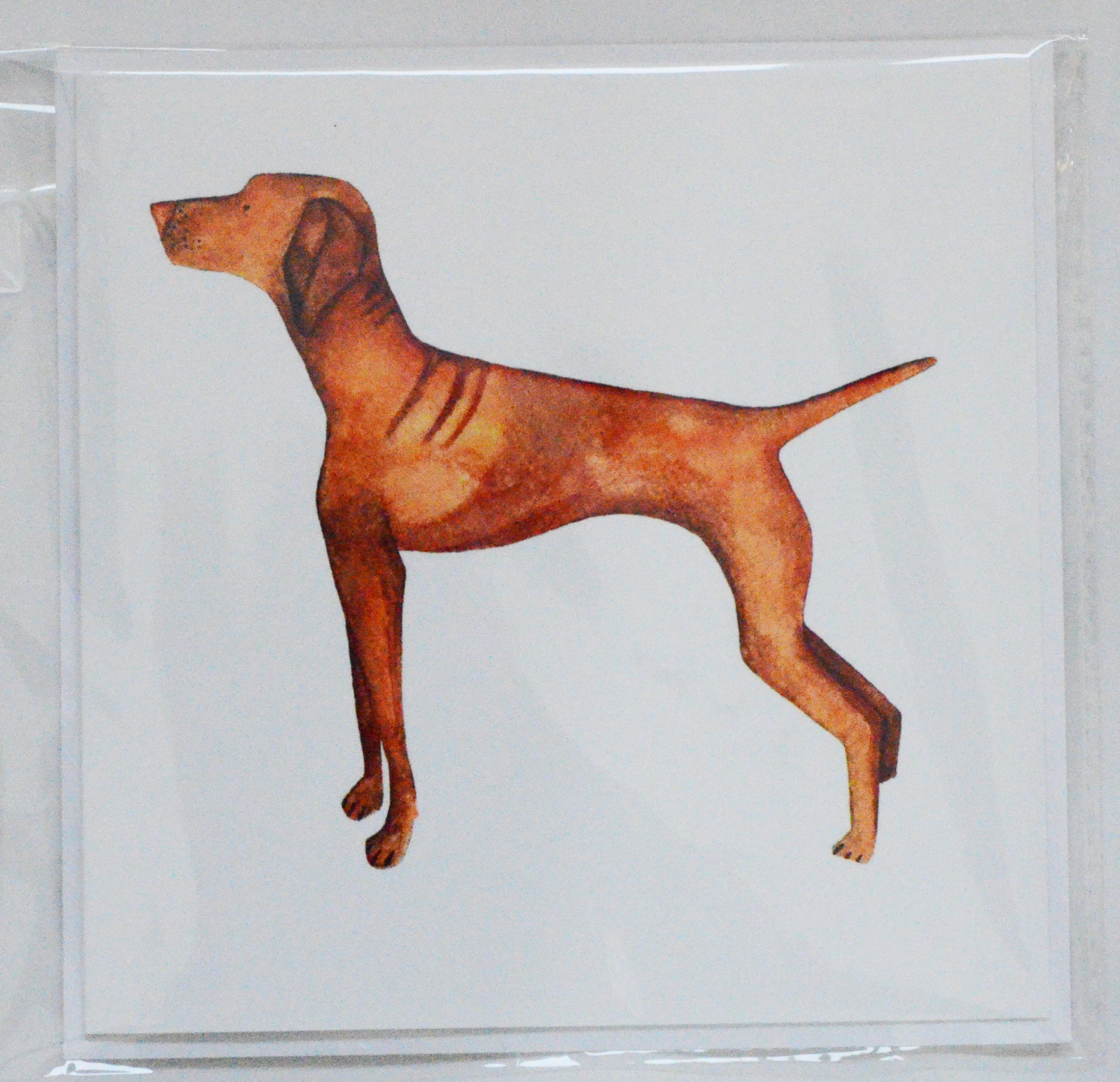 Vizsla Greetings Card1