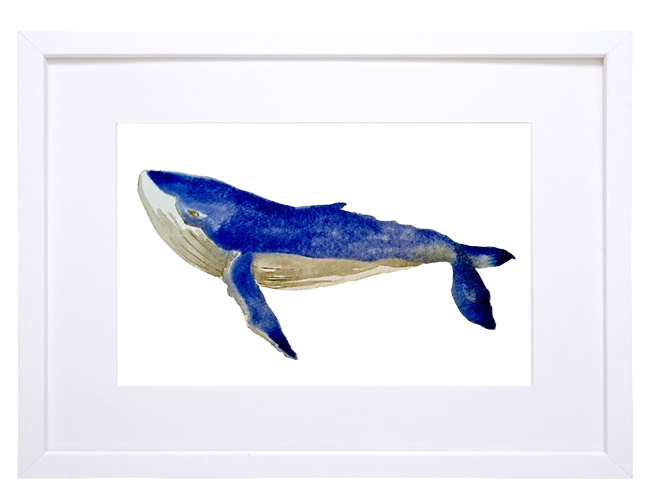 whale+in+30x40+frame