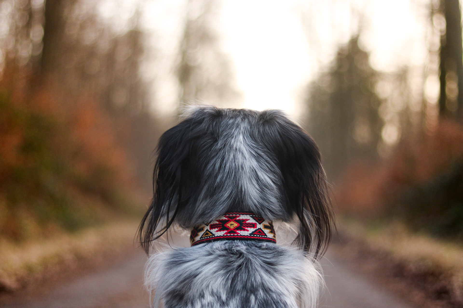 20210223184844_IMG_5206