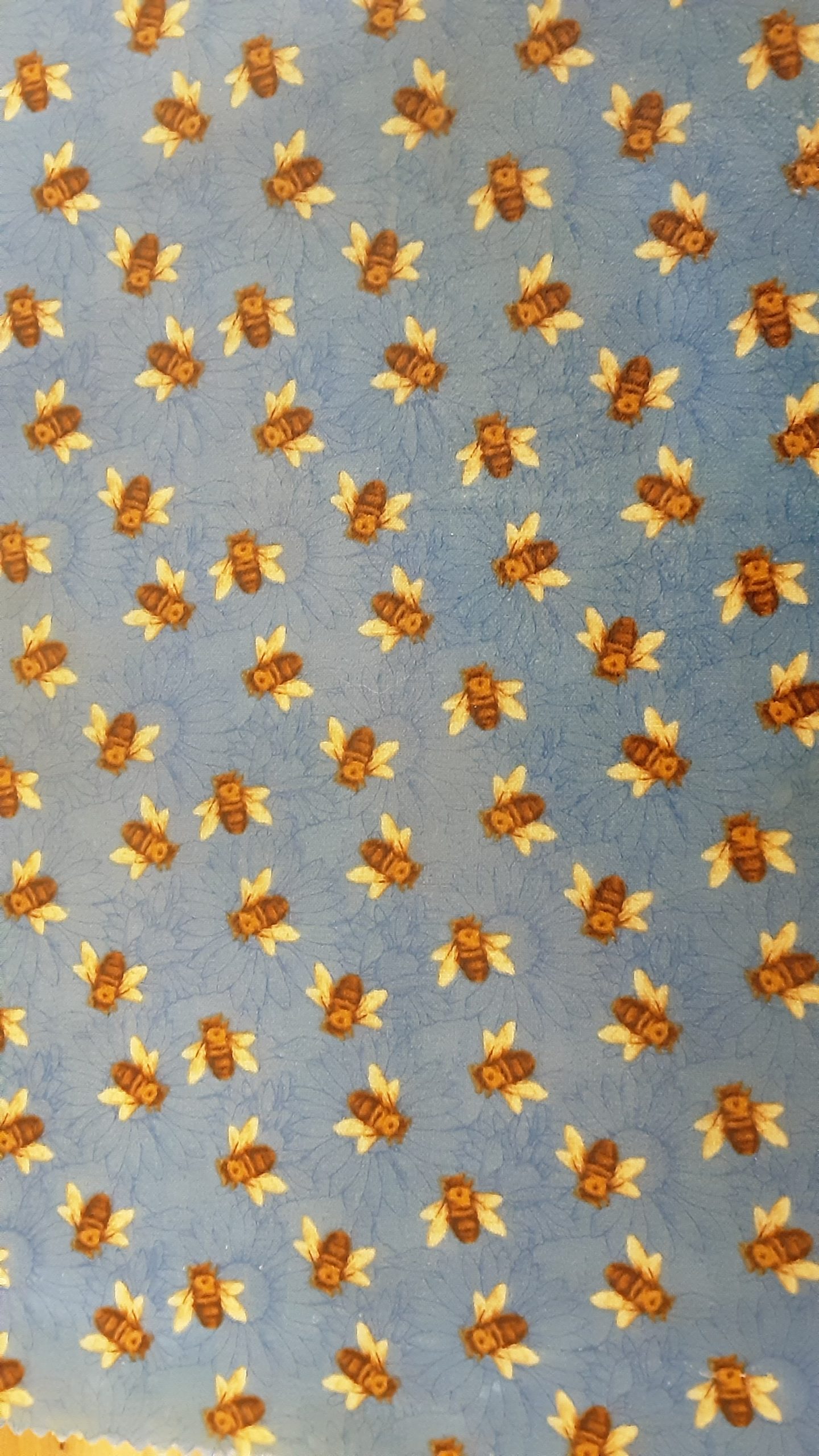 20200304_134604-scaled