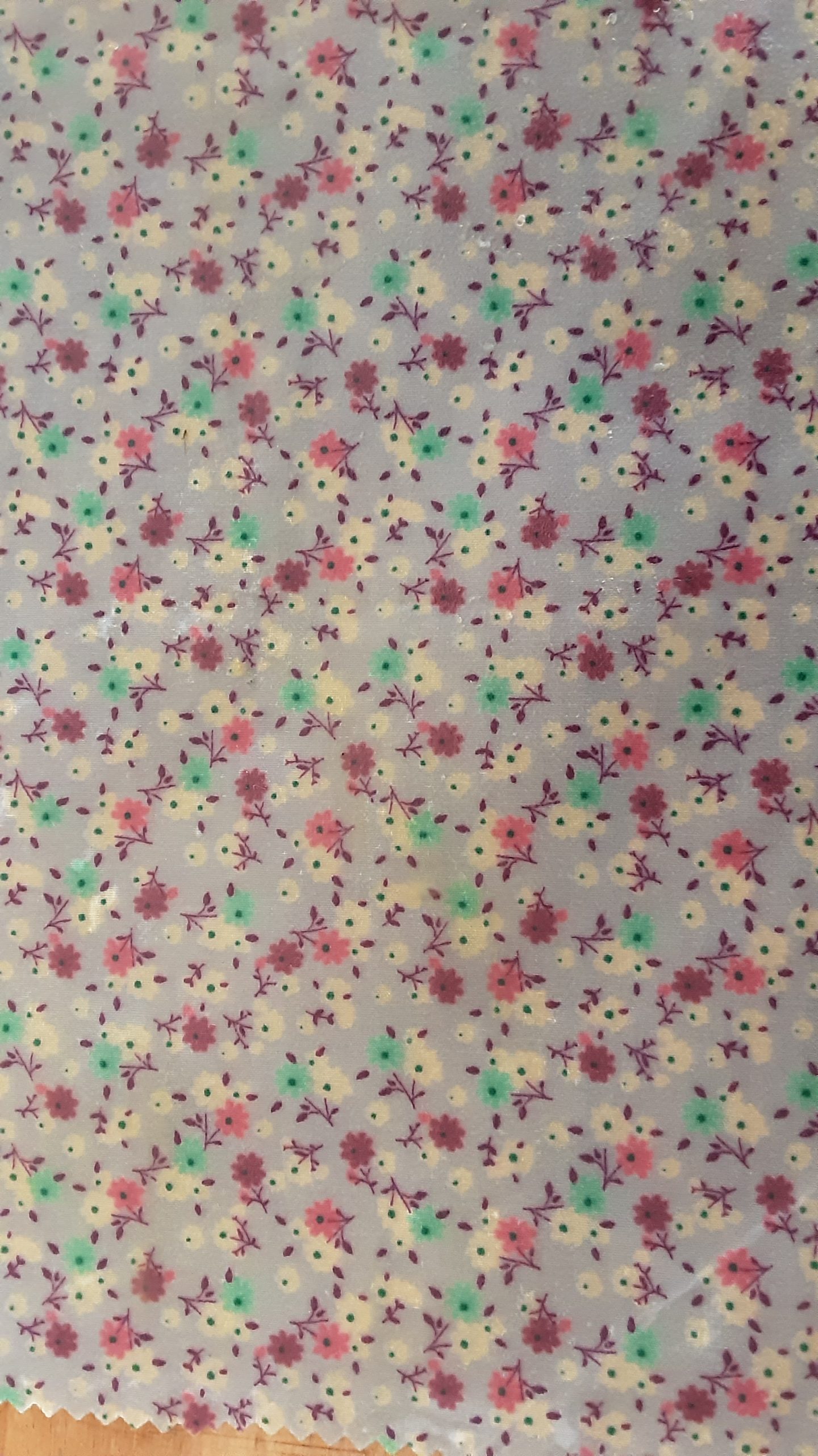 20200304_134623-scaled