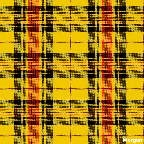 9d719e_fb28d70c156b4cf495779a036e327029_mv2