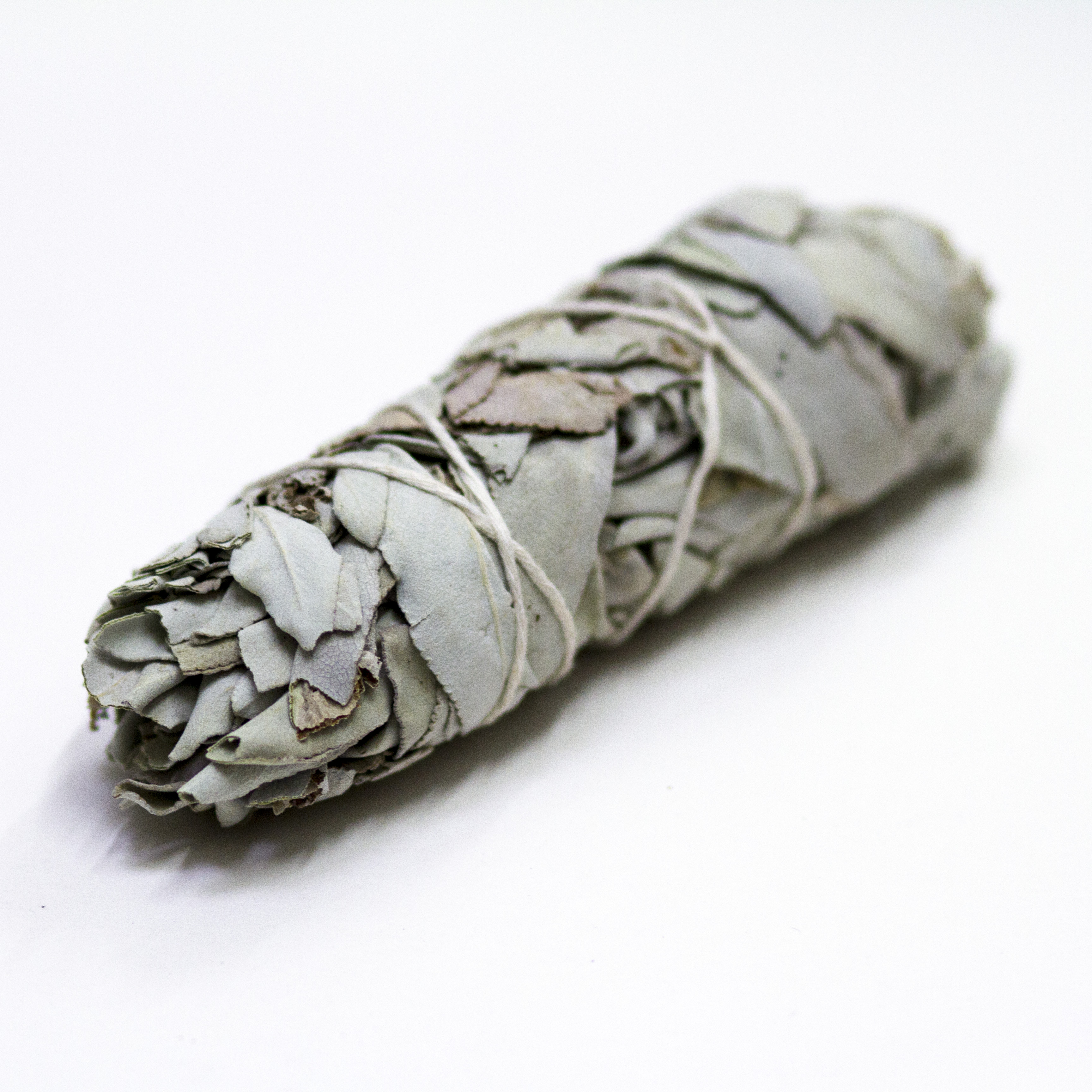 Sage Bundle Medium_2