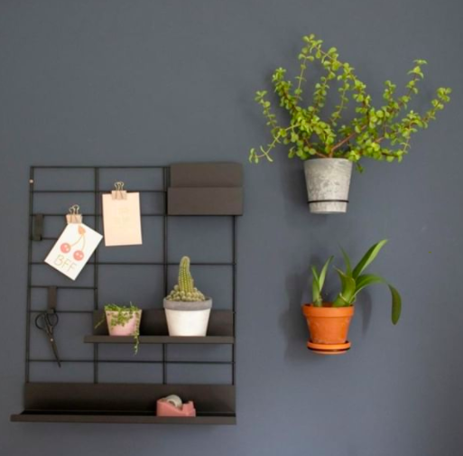 Schermata 2020-04-24 alle 18.02.42