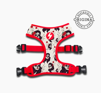 Schermata 2020-05-12 alle 19.20.43