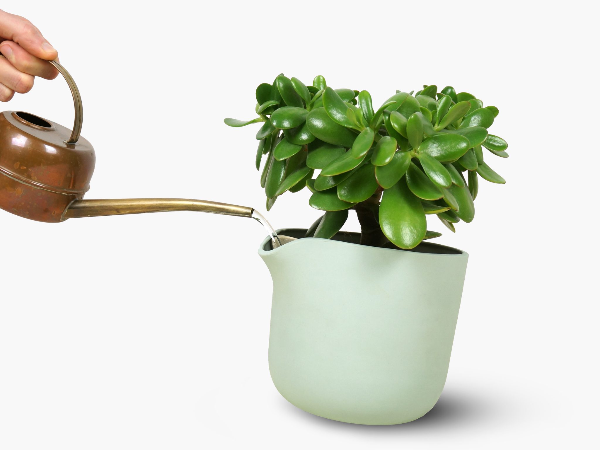 C12-FRONT-COLOR4-middle-page-natural-balance-flowerpot-2016-2-scaled