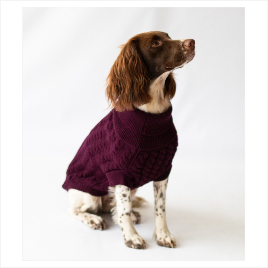 Rascal Dog Jumper - Front - Grape