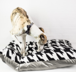 Schermata 2020-05-19 alle 18.17.18