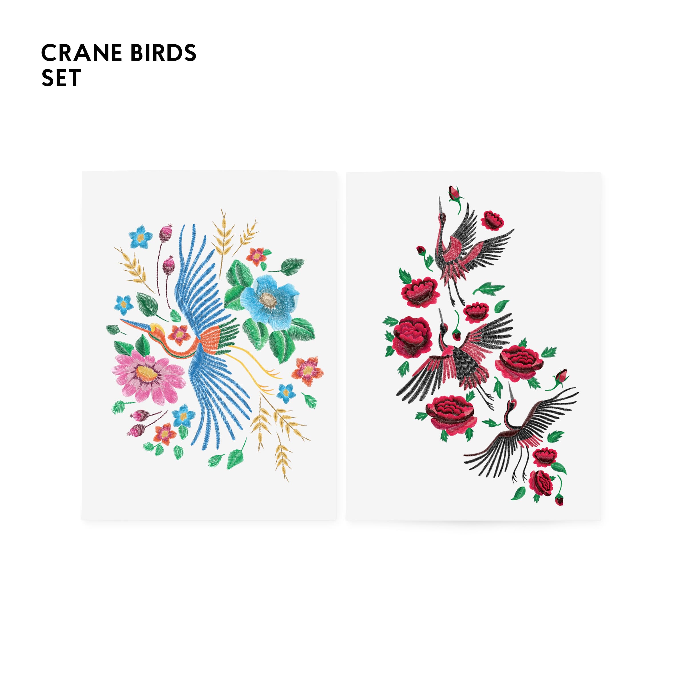 crane birds(1)