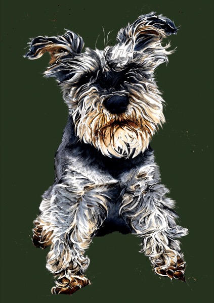 The Schnauzer Notebook