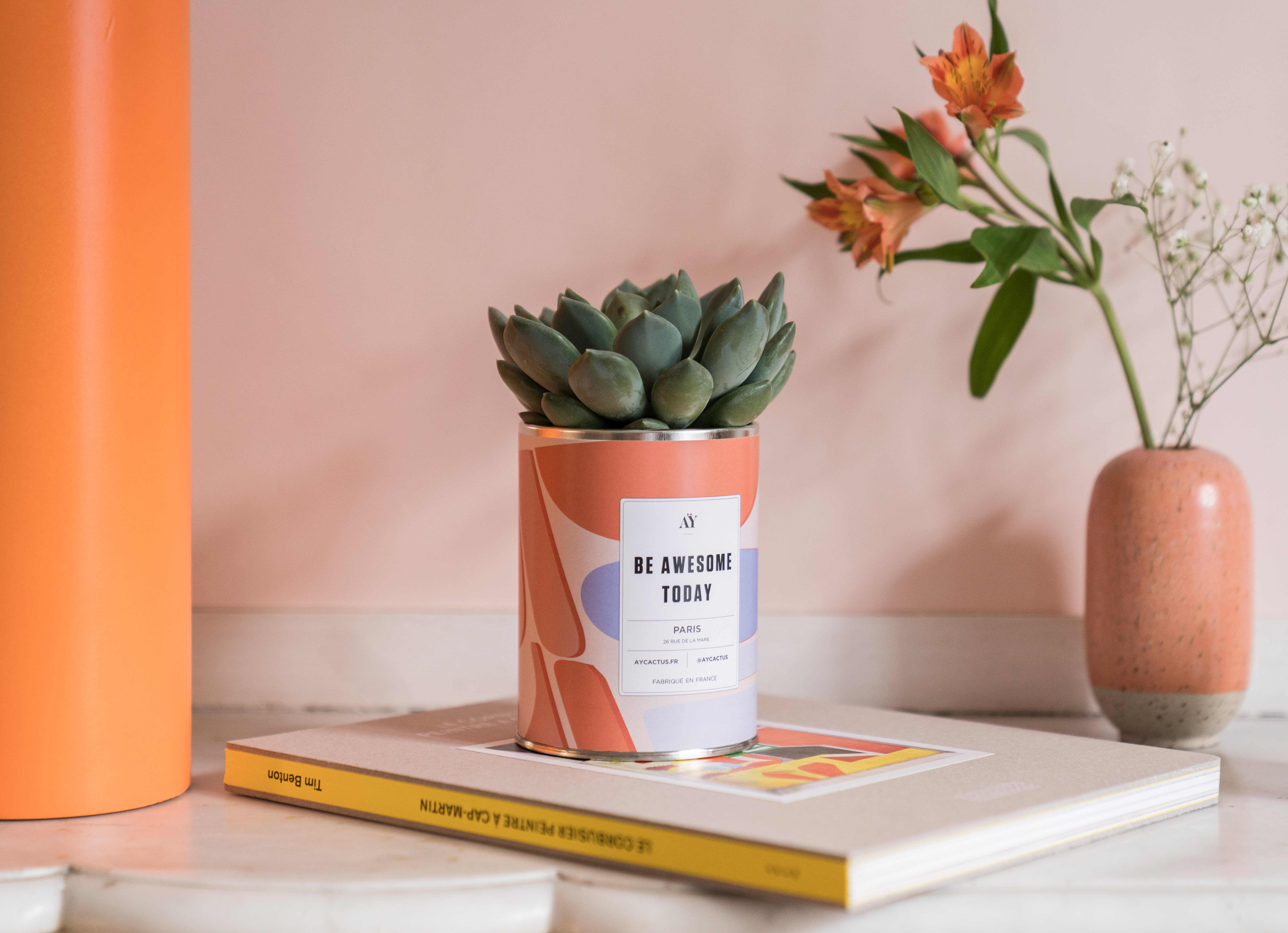 P_Beawsometoday_plantegrasse_4