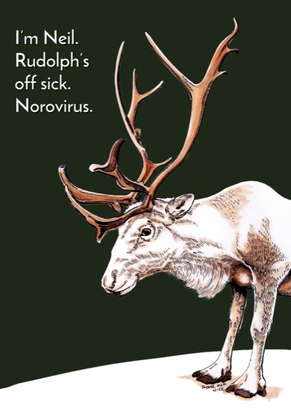 Replacement Reindeer Humour Card