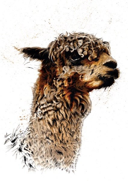 SINC101_Alpaca_V2_RGB