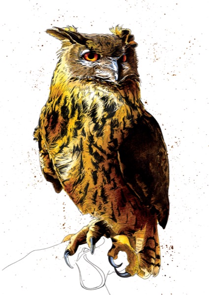 SINC110_Eagle_Owl_V2_RGB