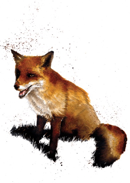 Flo The Fox Art Card