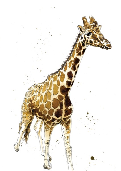 The Giraffe Art Card