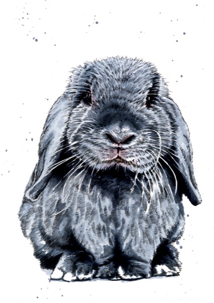 The Grey Bunny Art Card