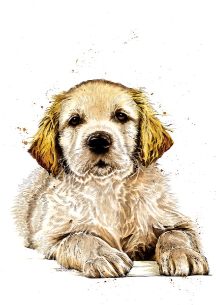 SINC114_Guide_Dog_V2_RGB