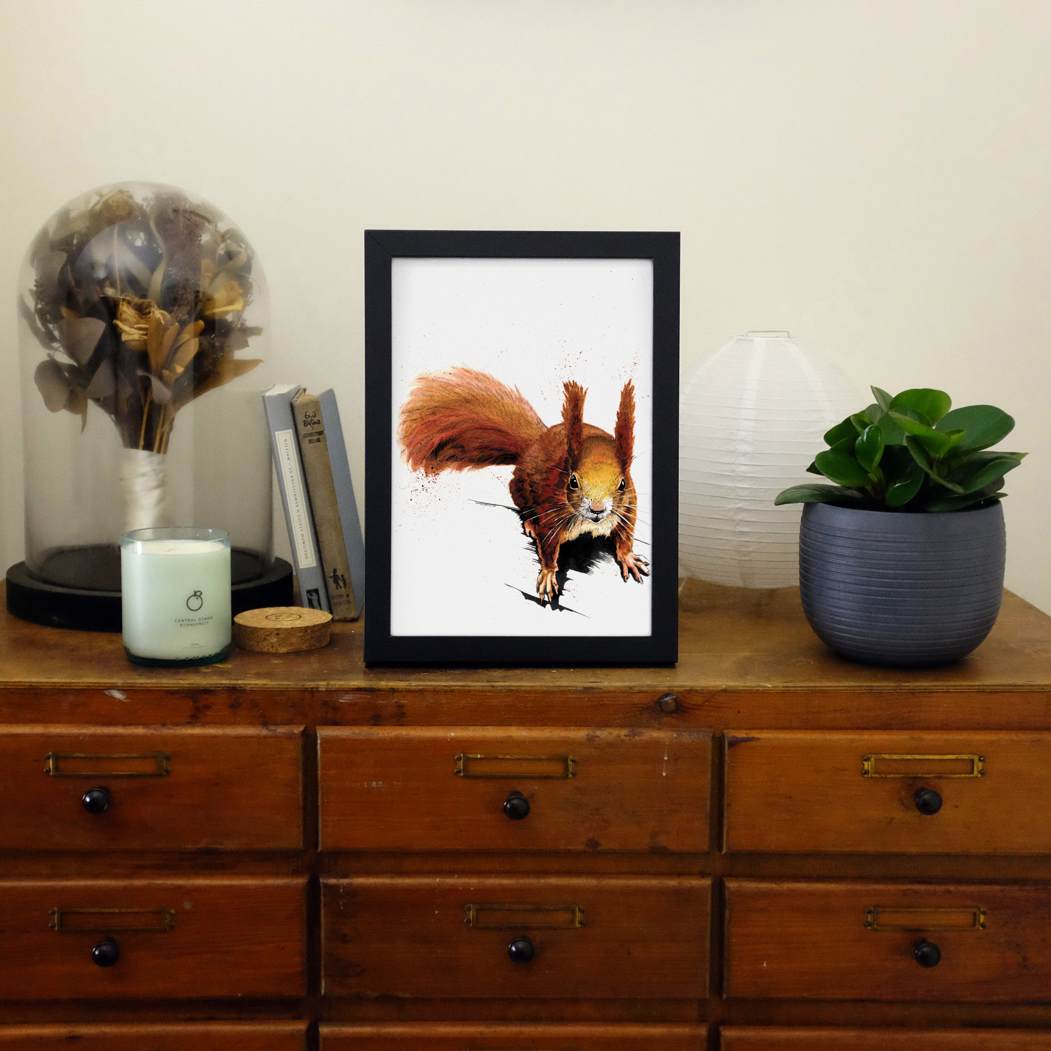 SINC117_Print_in_frame_redsquirrel