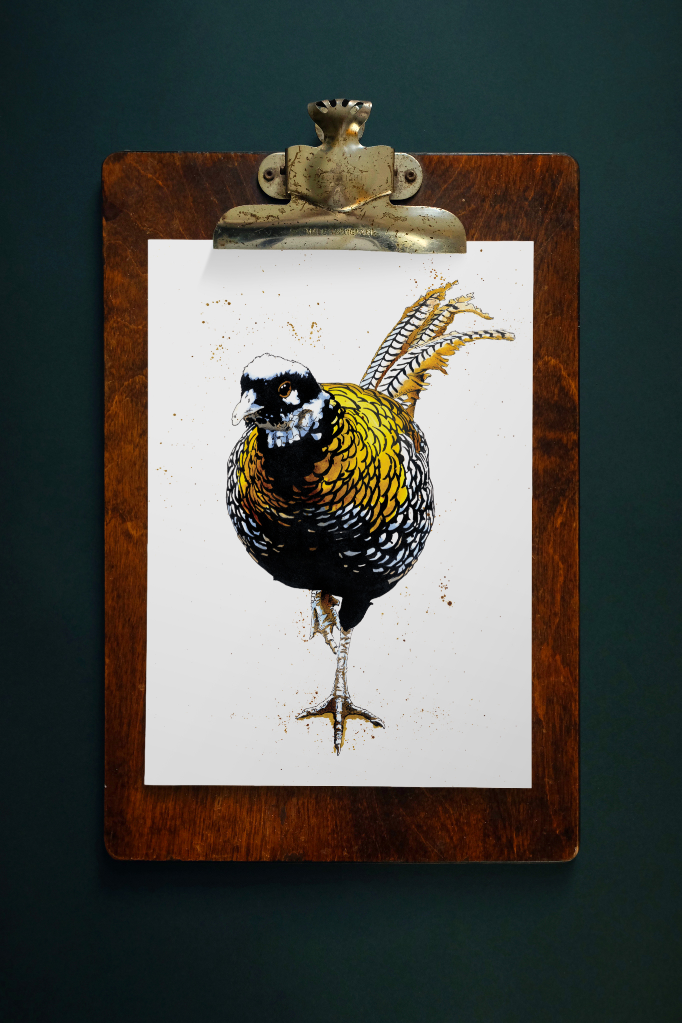 SINC118_reeves_pheasant_1