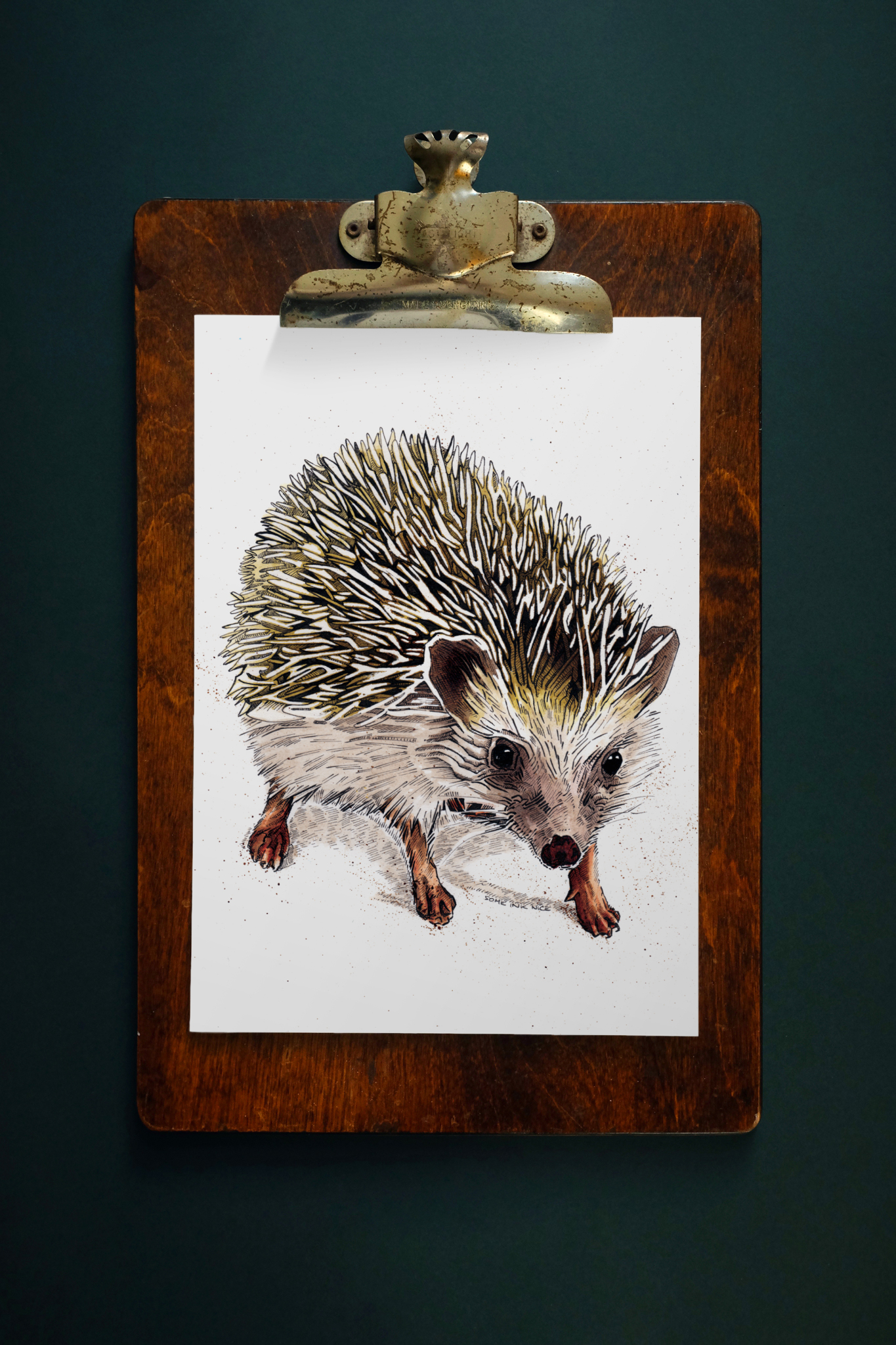 Kimchi The Hedgehog Art Print