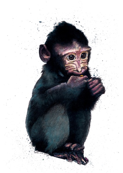 Macaque Art Card