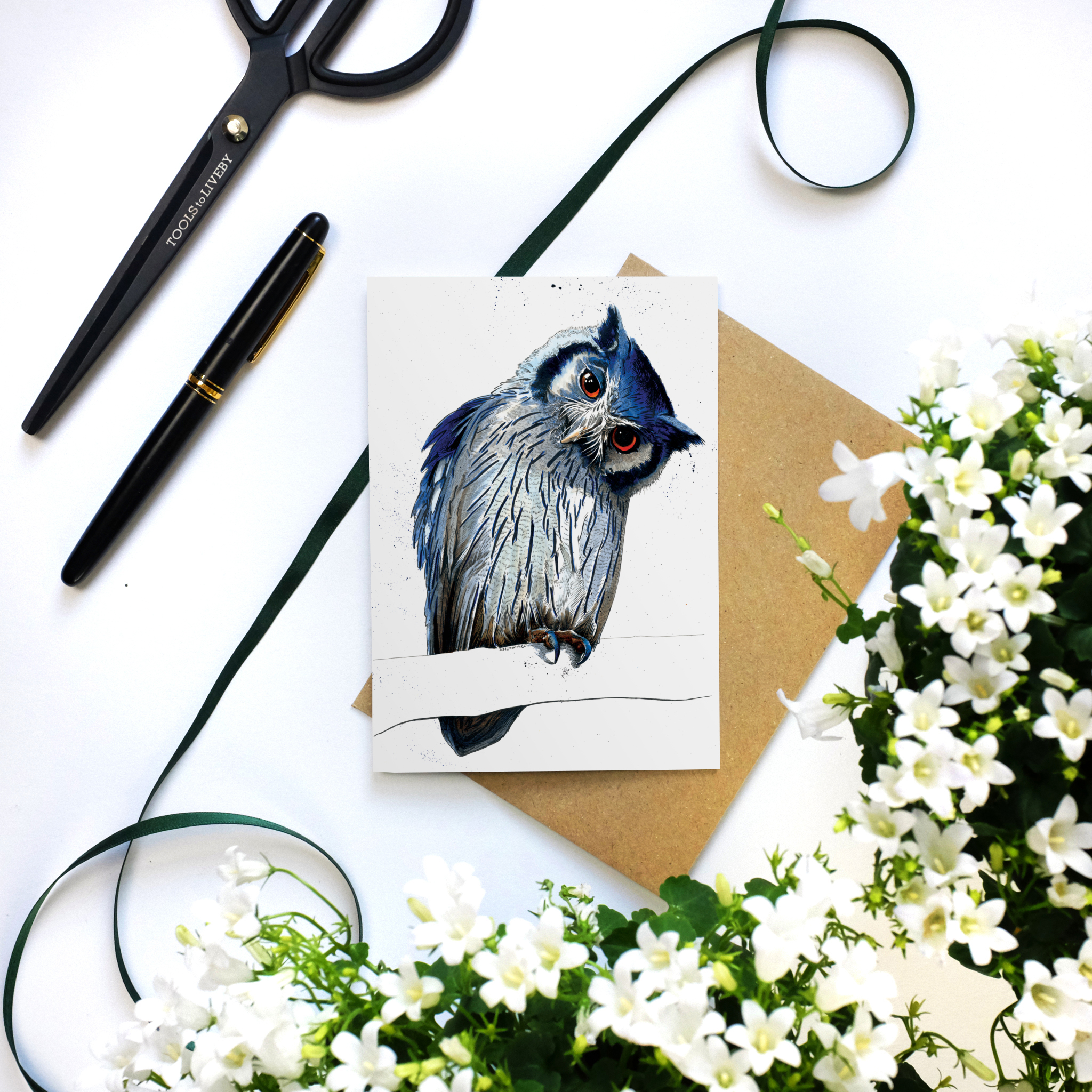 The Northern White Faced Owl