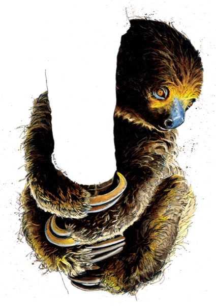 Talita The Sloth Art Card