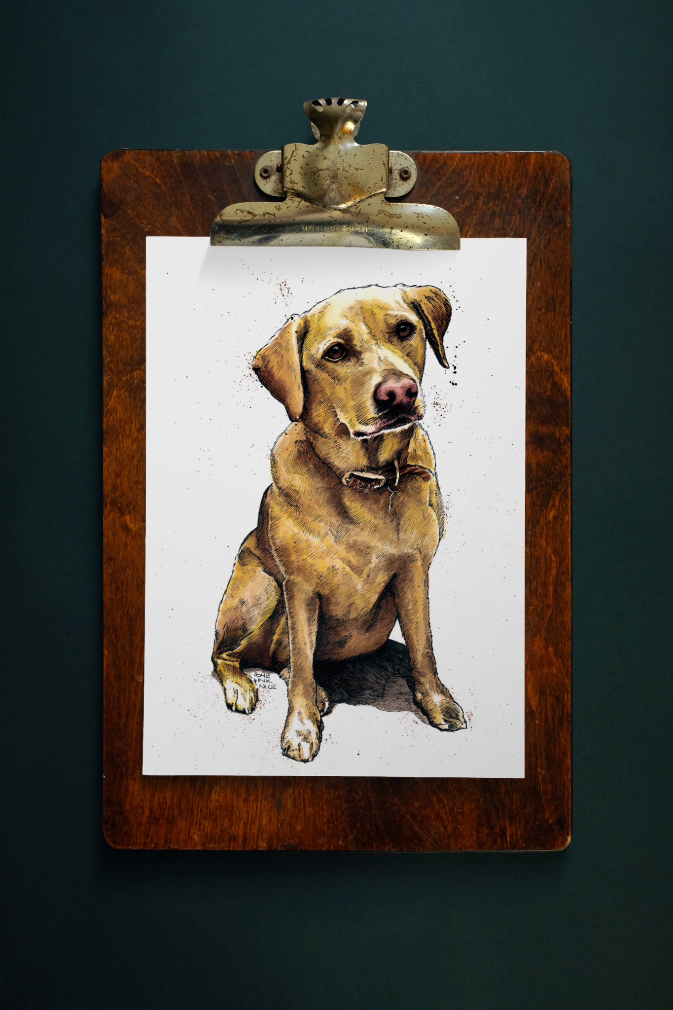 SINC135_daisy_labrador_1