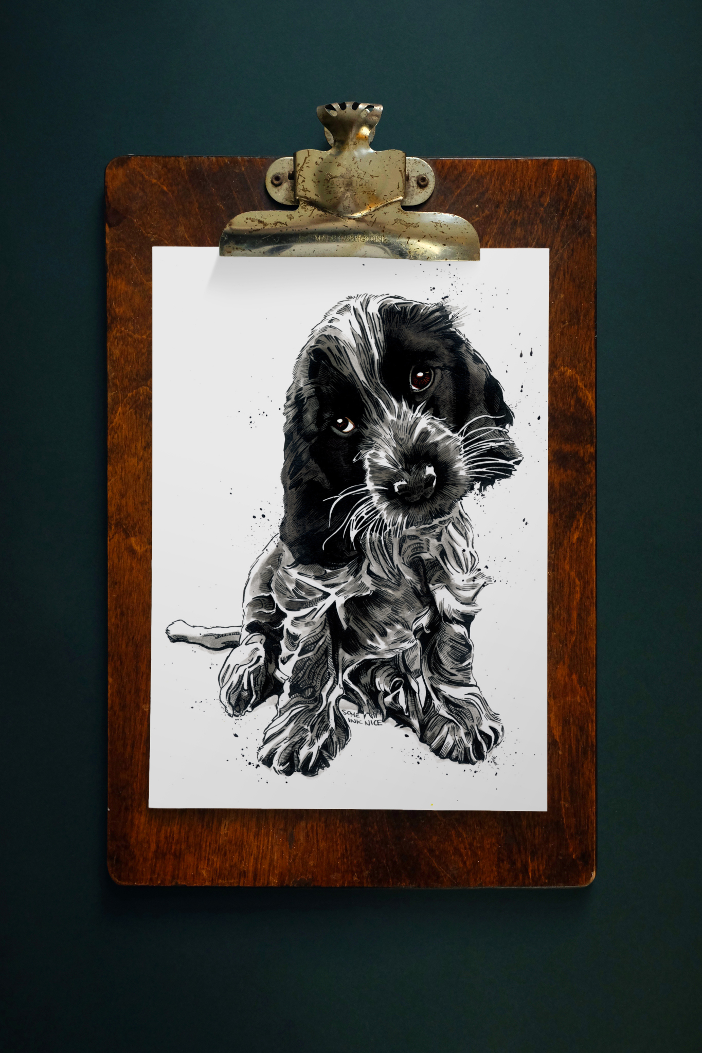 SINC139_rosie_spaniel_1