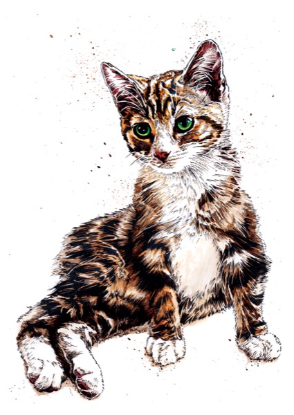 Mochi The Kitten Art Print