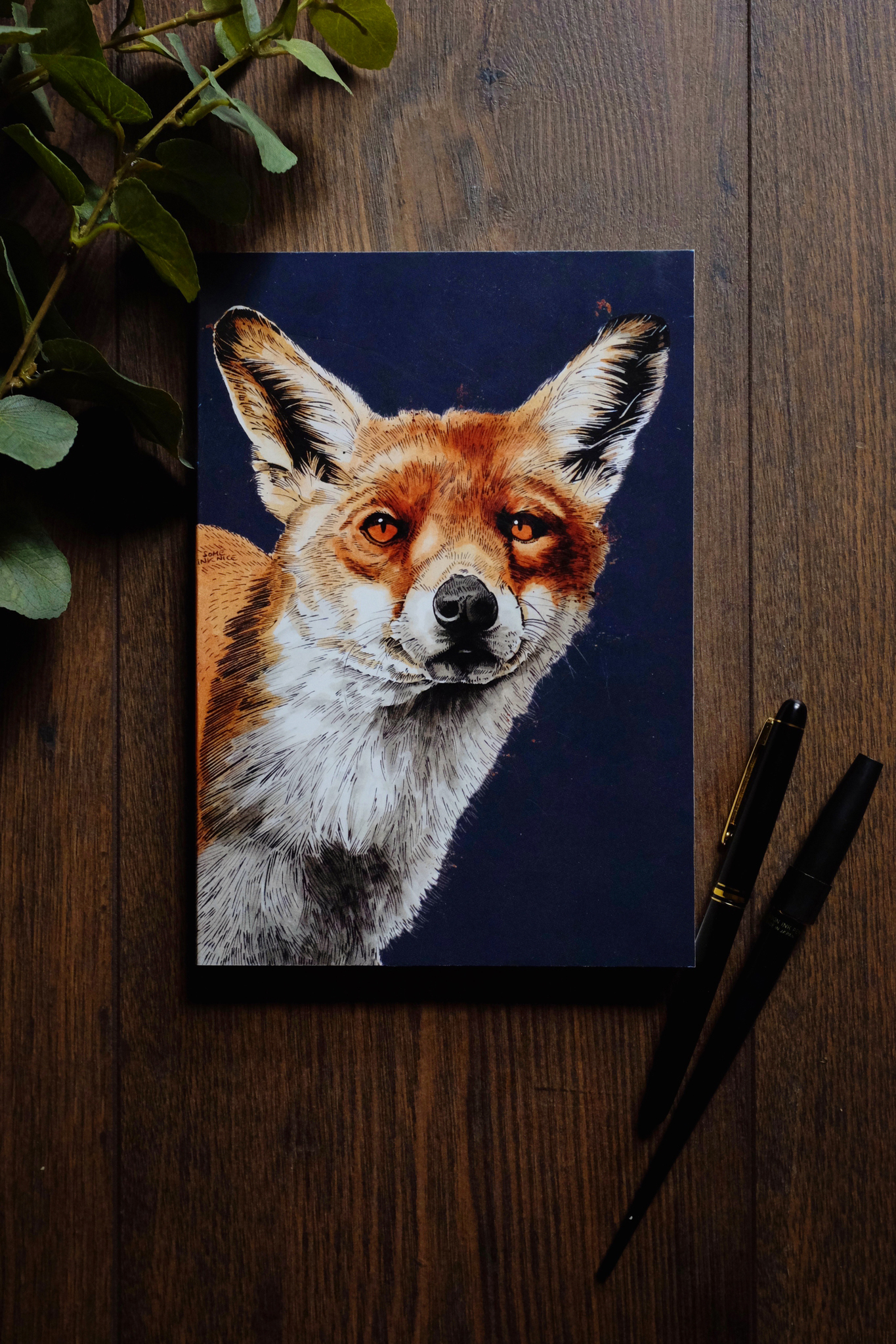 The Fox Notebook