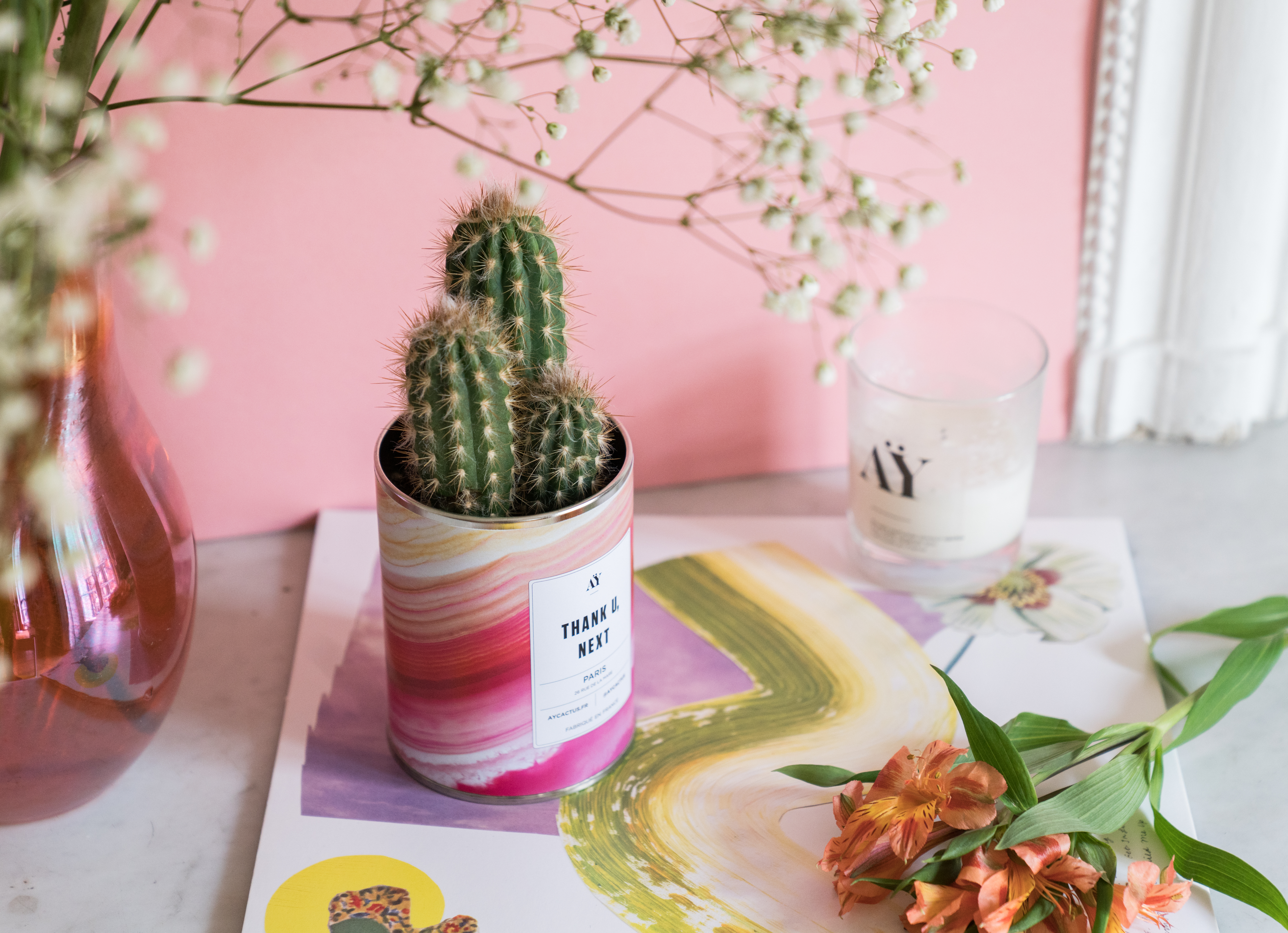 Thankyounext_cactus_2