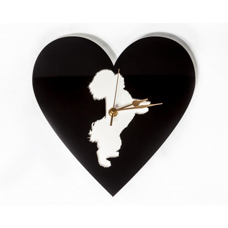 bichon-frise-style-2