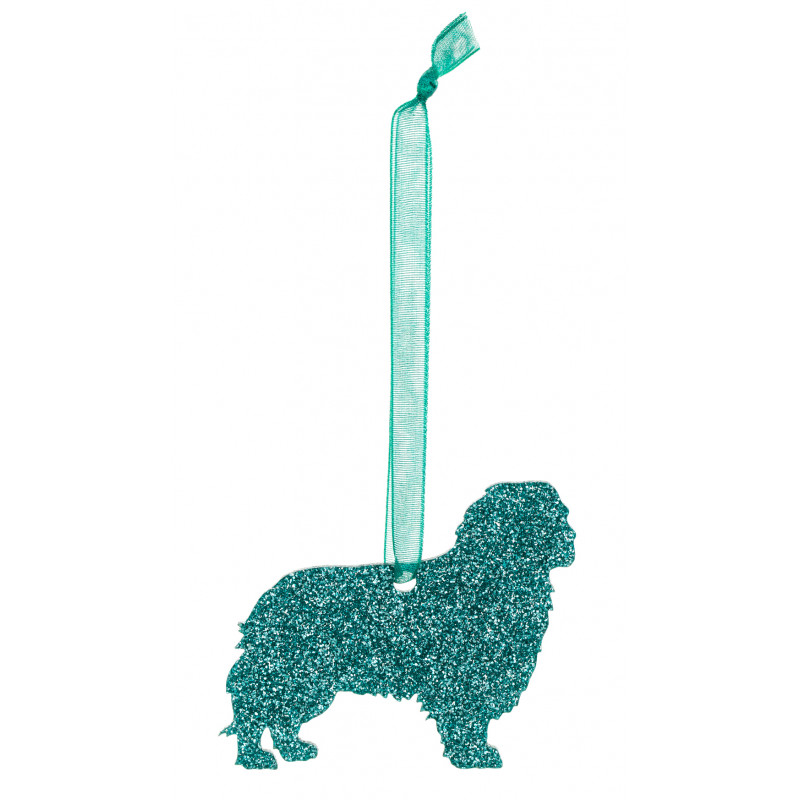 cavalier-king-spaniel (1)