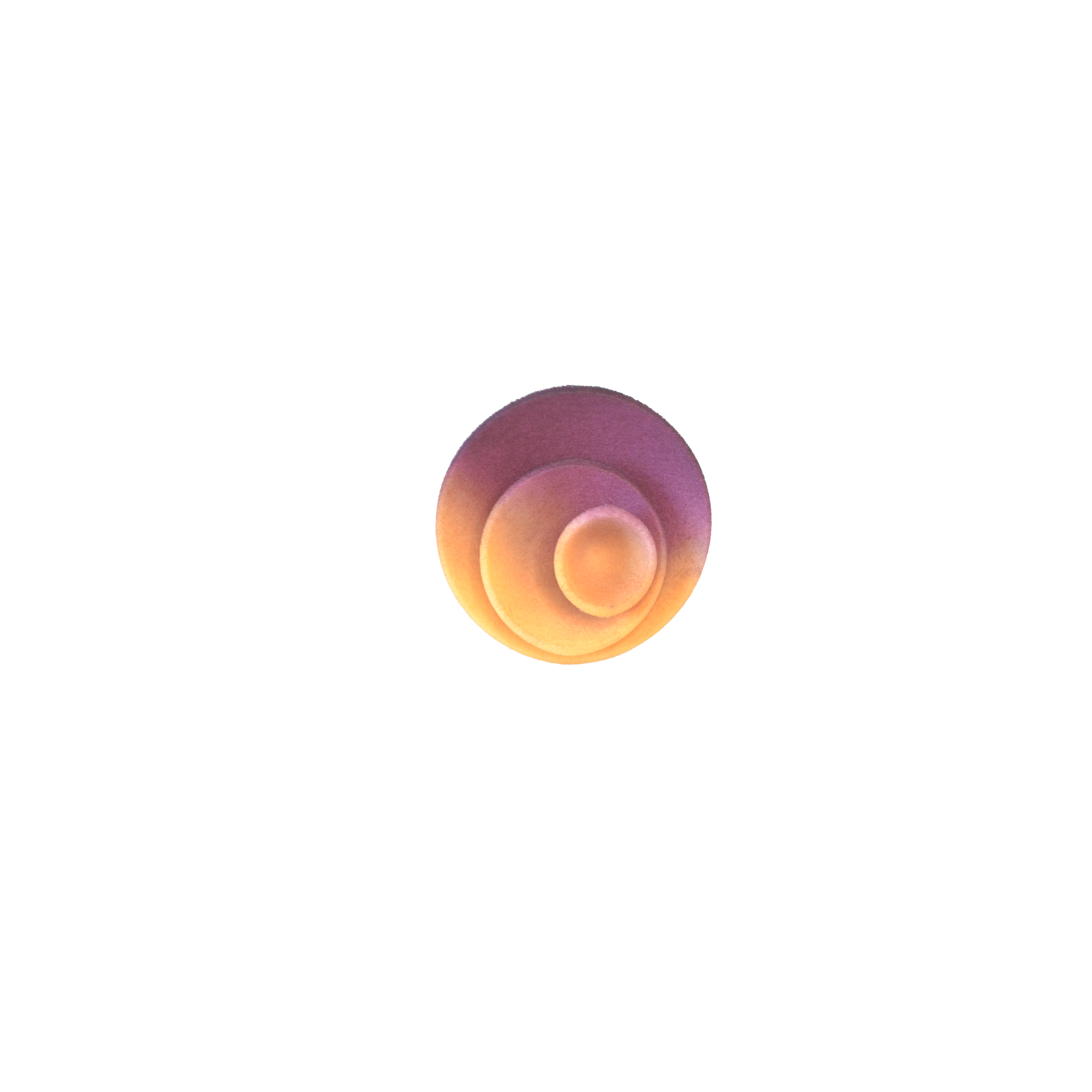 citrus+plum round ring front