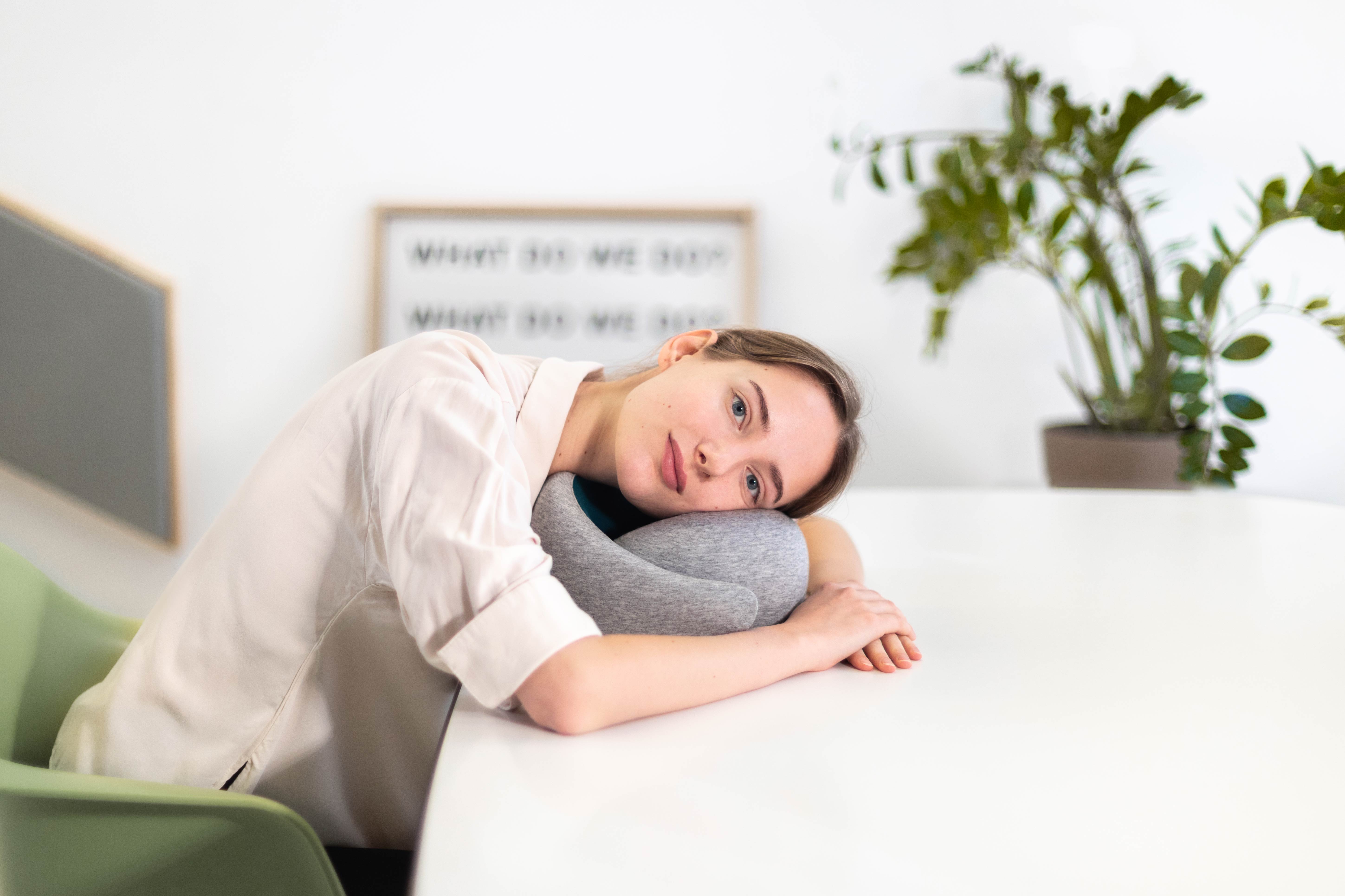 ostrichpillow-go_MD_home-office_43