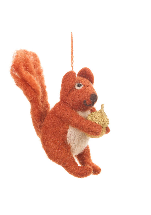 red-bushy-squirrel