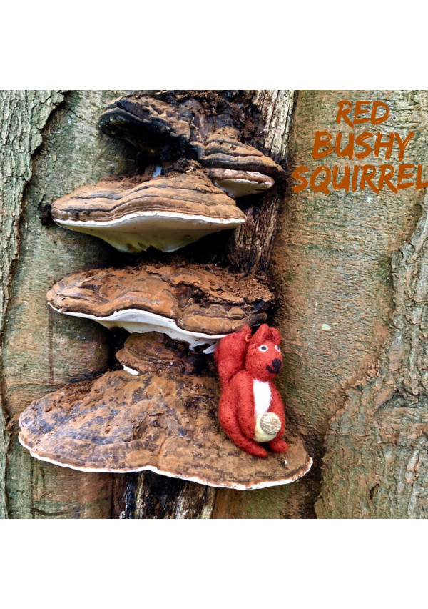 red-bushy-squirrel.jpg_1